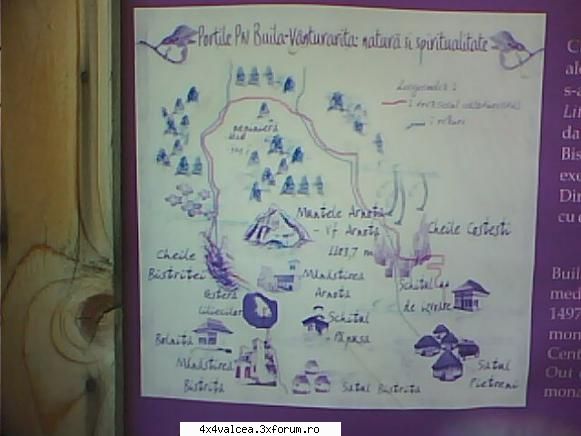 IESIRE LA GRATAR nr. 1 - Crazy Wolf - IESIRI IN NATURA