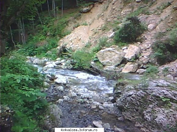 IESIRE LA GRATAR nr. 1 - INTR-UN FINAL NE OPRIM SA FACEM GRATARUL - IESIRI IN NATURA