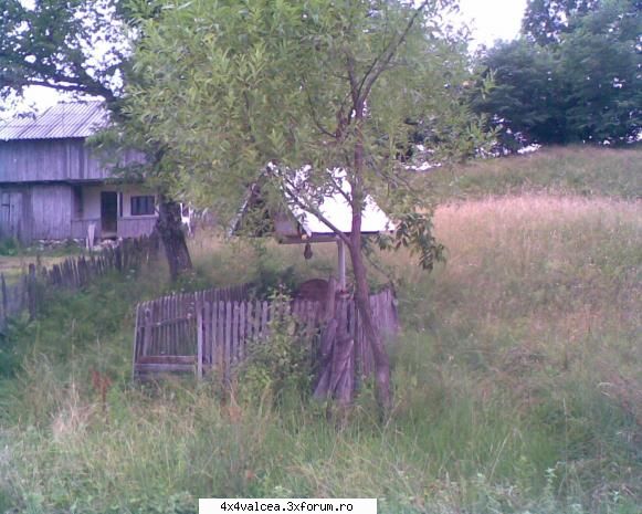 gasim si o casa parasita in padure iesire la gratar nr. 1
