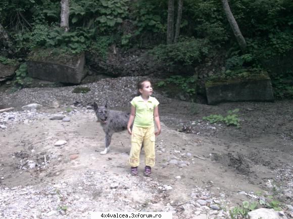 dupa proba de rezistenta cu guilia in spate pe marginea iprin bolovani in gradina si pe strada am