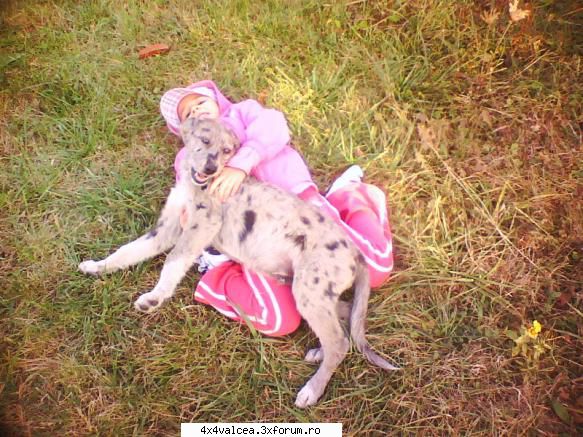 giulia si wolf 4 luni :zzz: noastre
