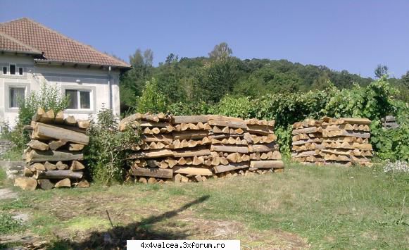 fotografiile noastre - ma rog, nici eu n-am stat chiar degeaba - FOTOGRAFII